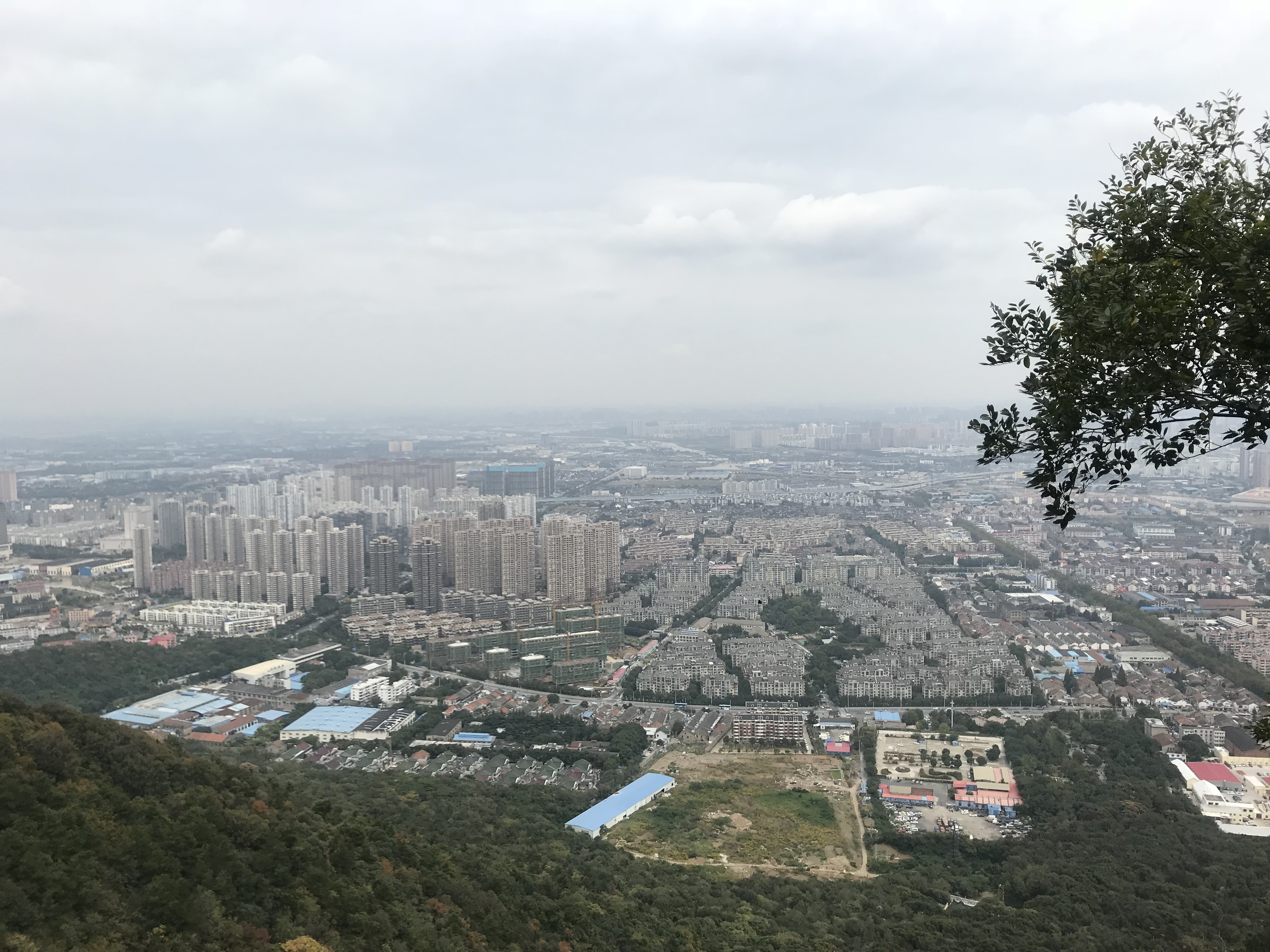 山頂的視野