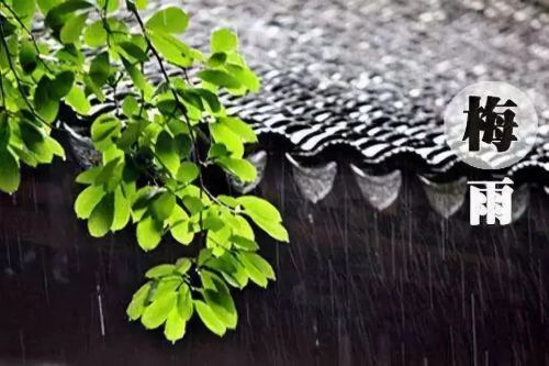 梅（méi）雨季