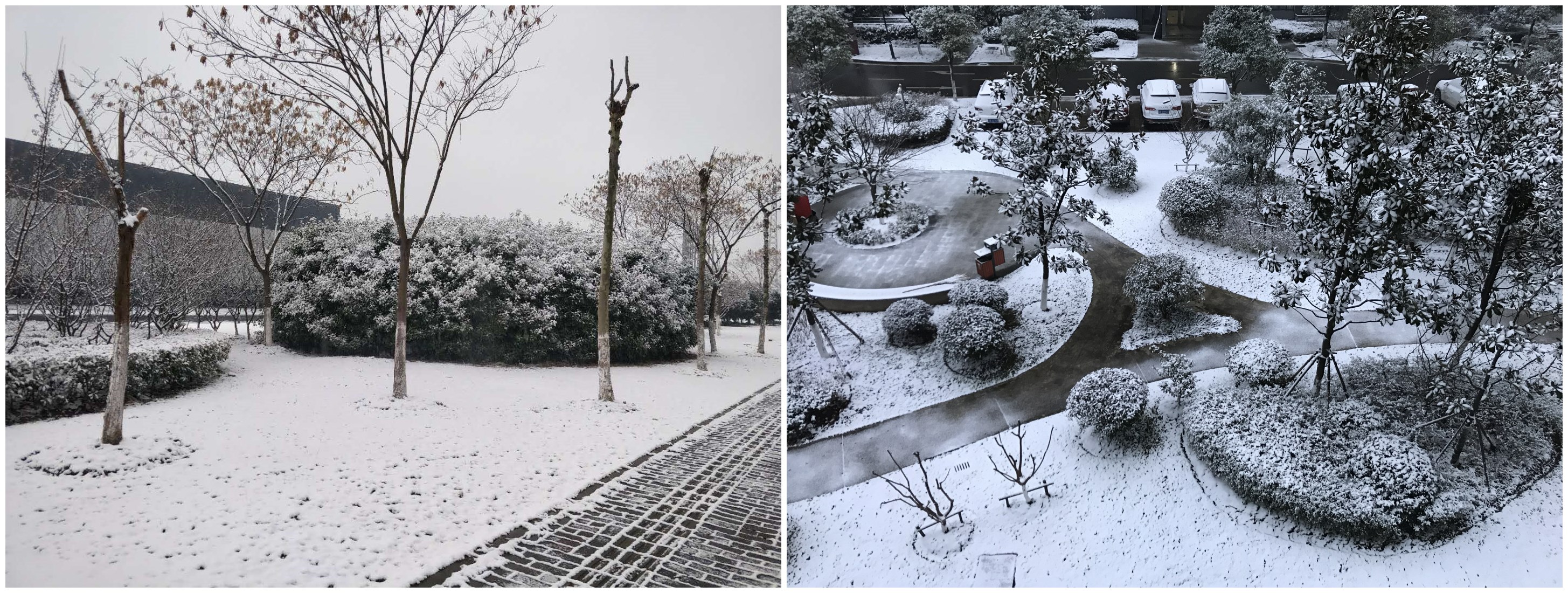 雪景（jǐng）